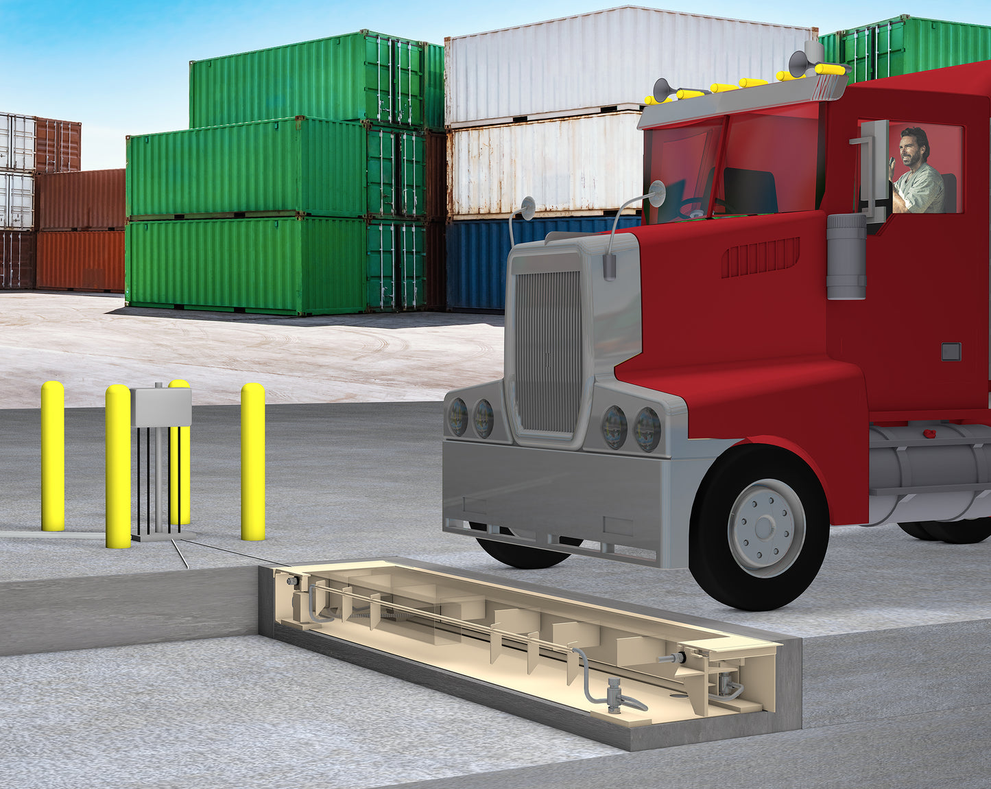 cardinal-swim-slow-speed-in-motion-scales