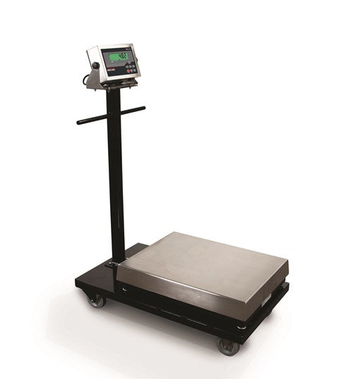 rice-lake-benchmark-msc-30