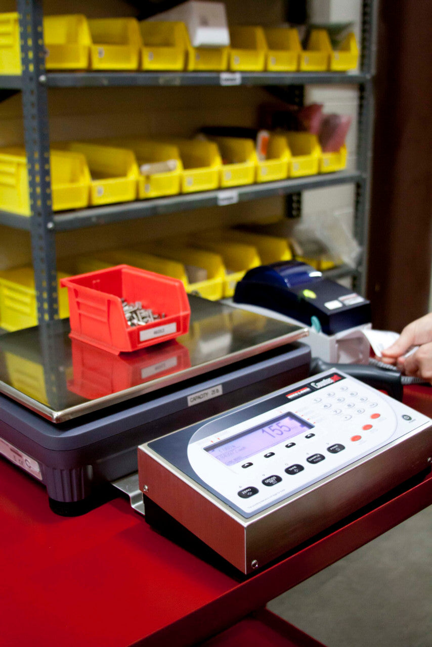 rice-lake-counterpart-counting-scale-dual-channel-with-digi-s-yc-base-system-and-bracket