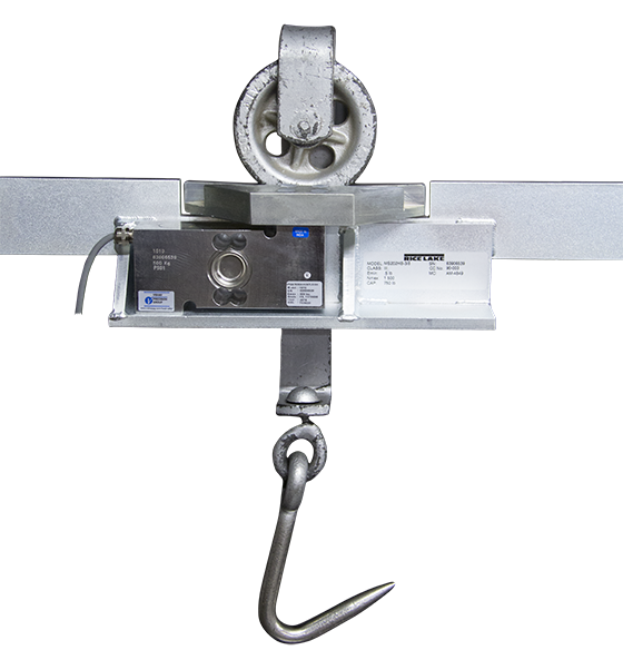Rice Lake MS200 & MS202 Portable & Permanent Monorail