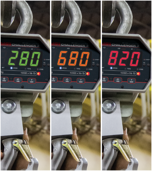 MSI 3460C 207064 Challenger 3 Digital Crane Scale - 1,000 lb x 0.5 lb Non-CE, NTEP