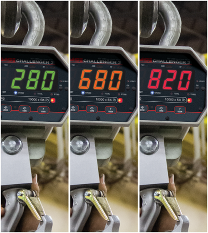 MSI 3460C 207064 Challenger 3 Digital Crane Scale - 1,000 lb x 0.5 lb Non-CE, NTEP