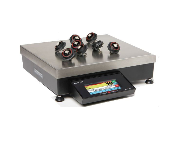 Pennsylvania Scale Company 7800-150 Touchscreen Count/Weigh Scale - 15 ...