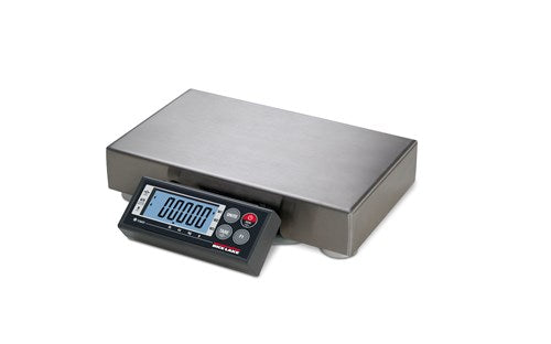 rice-lake-bench-pro-bp-r-digital-bench-scale