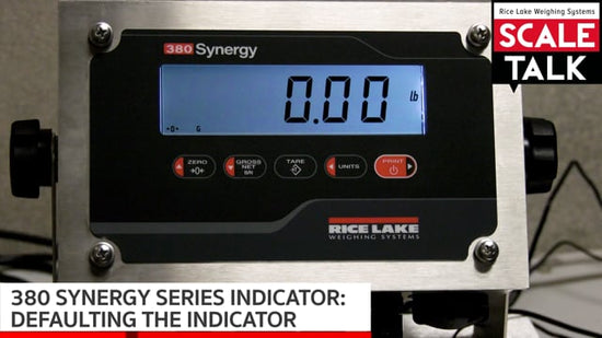 380-synergy-series-digital-weight-indicator