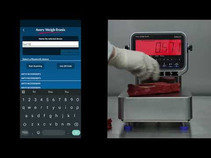 Avery Weigh-Tronix AWT05-101000 ZM223 Indicator Stainless Steel, NSF & IP69K approved 14" x 12" x 6.5"