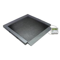 rice-lake-350-10-2-single-ramp-wheelchair-scale