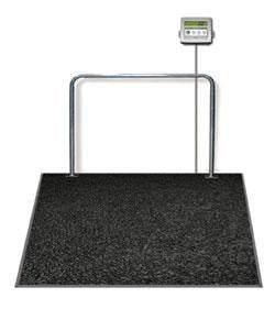 rice-lake-150707-summit-dialysis-wheelchair-scale-sd-1150-wp-1000x0-2lb-in-ground-with-handrail


