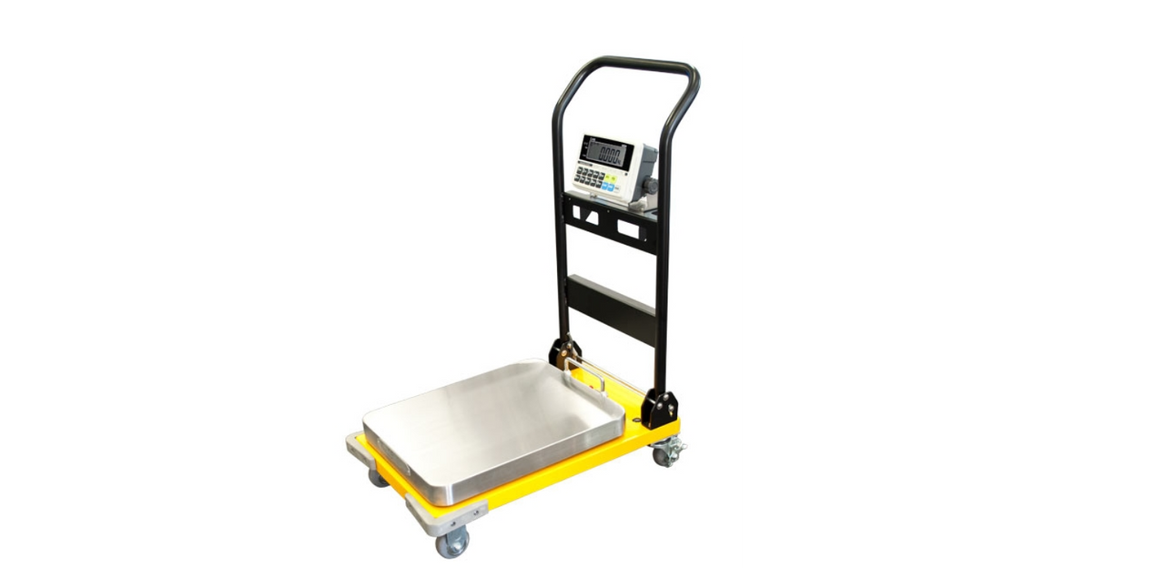 CAS CWP Portable Digital Utility Scale