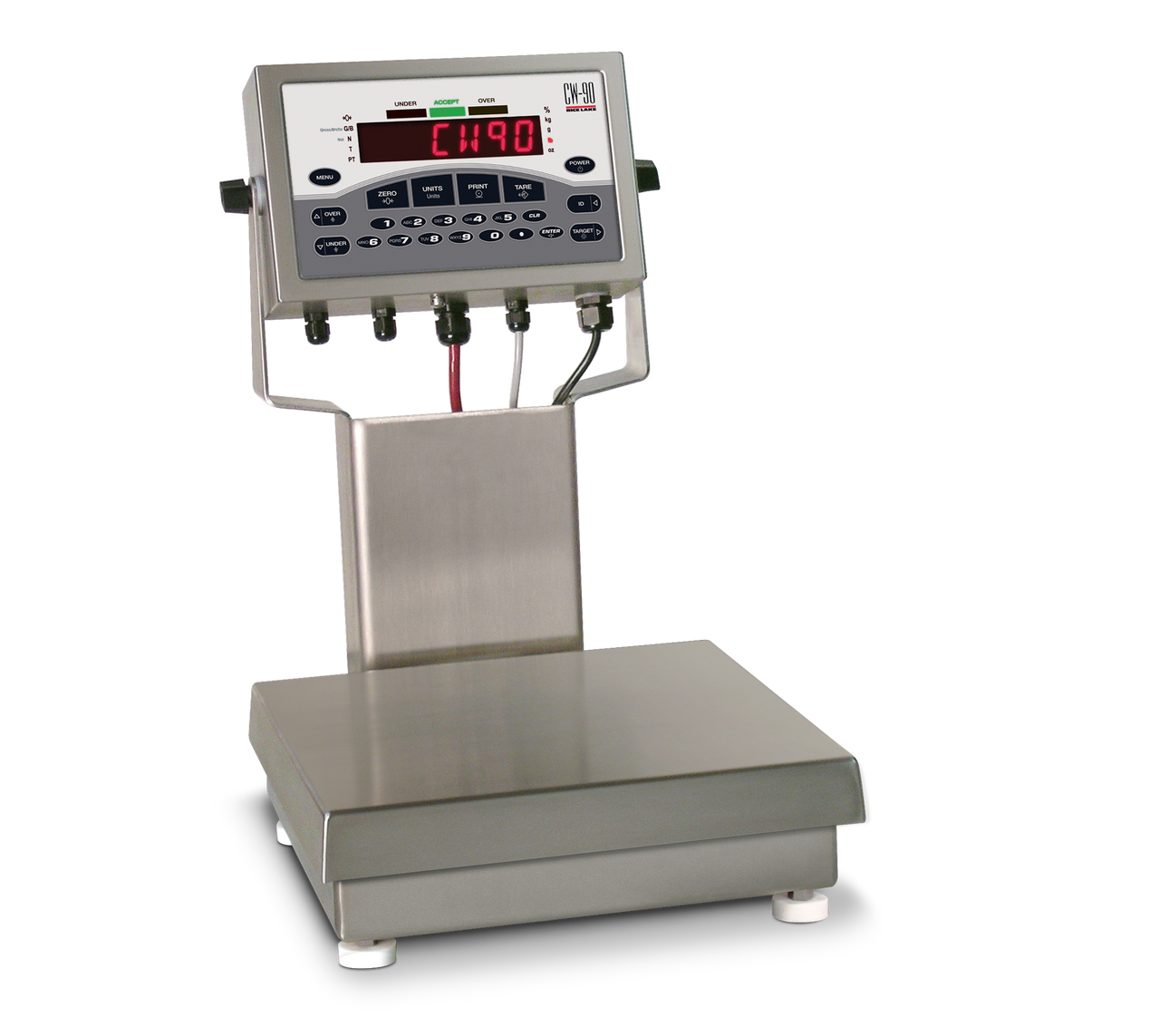 Rice Lake CW-90 Over/Under Checkweigher