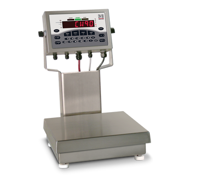 Rice Lake CW-90 Over/Under Checkweigher