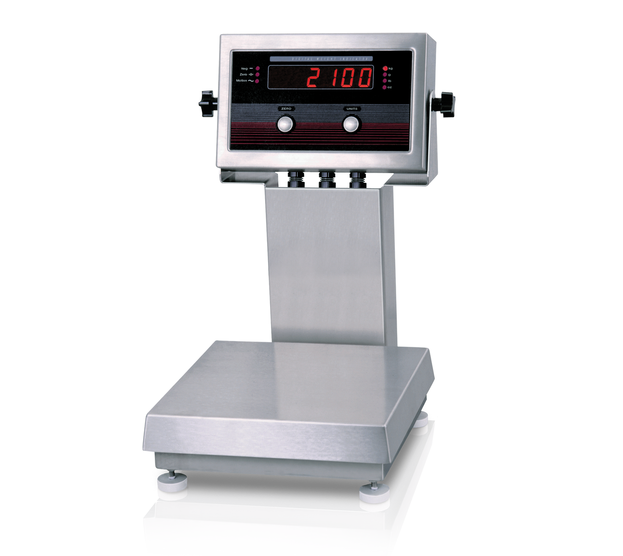 Rice Lake IQ Plus 2100 Digital Bench Scale with Column