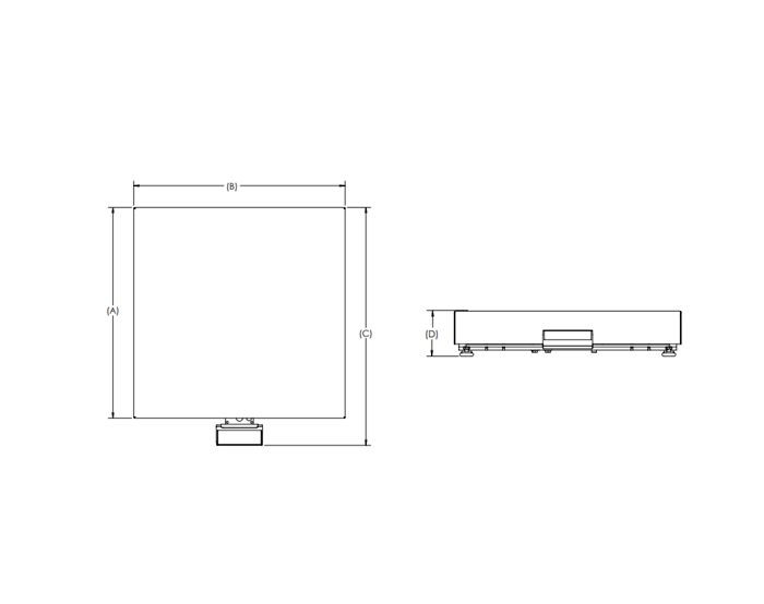 rice-lake-bp-s-scale-drawing