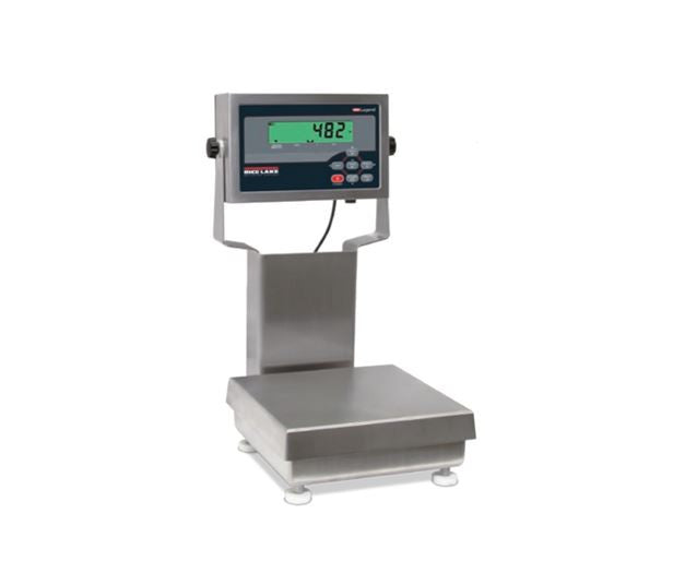 rice-lake-cw-90b-with-482-indicator-package