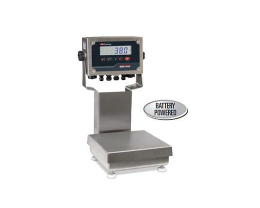 rice-lake-cw90b-with-380-indicator-package