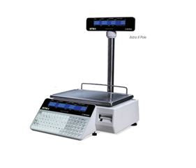 rice-lake-ishida-astra-II-price-computing-pole-scale-with printer