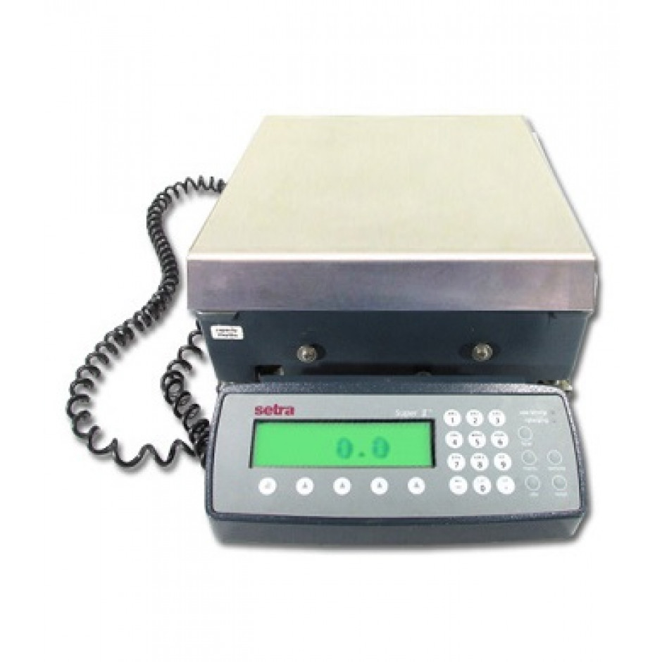 Crane Scale 500 lb CAS NTEP NC-1 Hanging Industrial Scale Wireless Remote
